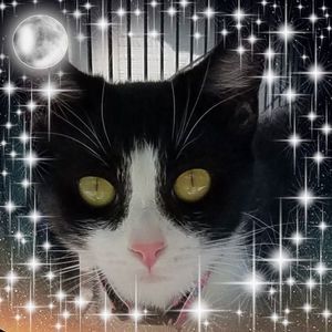 Meet your Posher, Jane